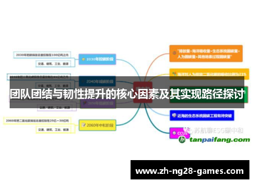 团队团结与韧性提升的核心因素及其实现路径探讨